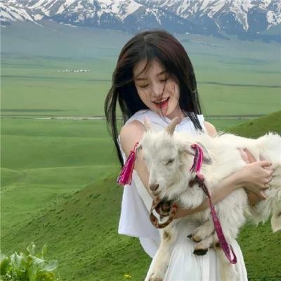 合约男女